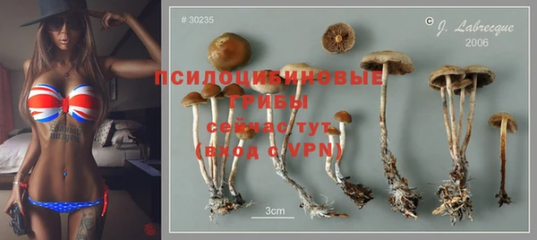 spice Зеленодольск
