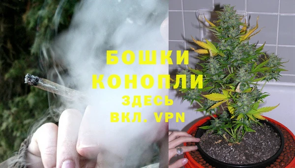 твердый Зерноград