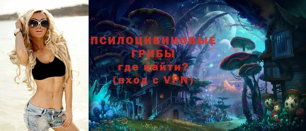 spice Зеленодольск
